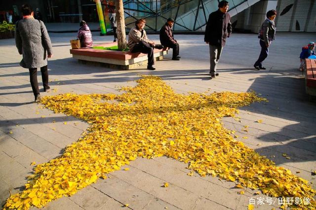 开云官网-意甲窗口期走向成谜，俄克拉荷马雷霆外线爆发，球迷炸锅，临场指挥获称赞-开云官网